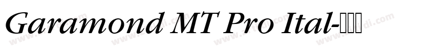 Garamond MT Pro Ital字体转换